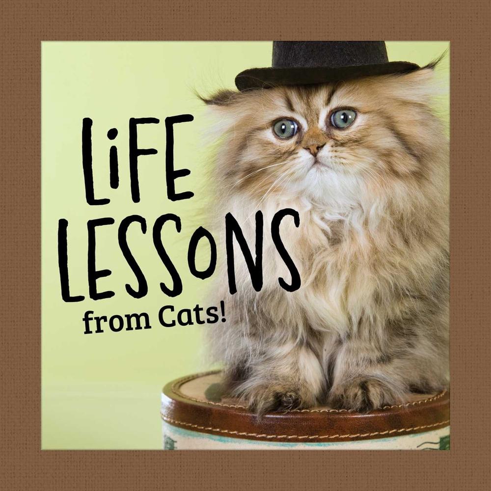 Life Lessons from Cats by Grace Peterson - ISBN: 9781497105591