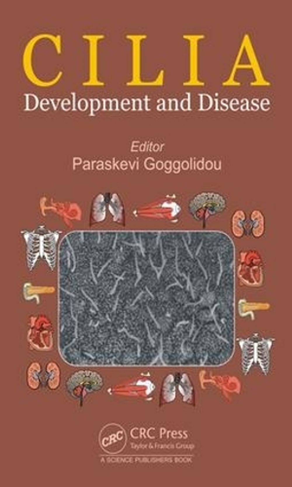 Cilia by Paraskevi Goggolidou - ISBN: 9781498703680