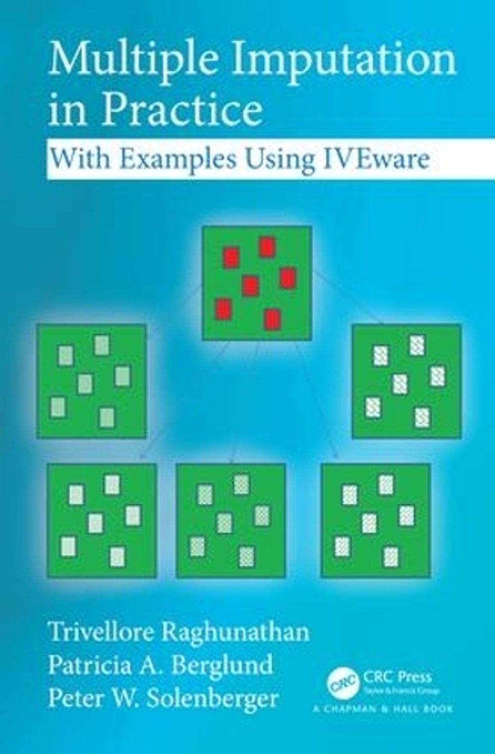 Multiple Imputation in Practice by Trivellore Raghunathan, Hardcover ...