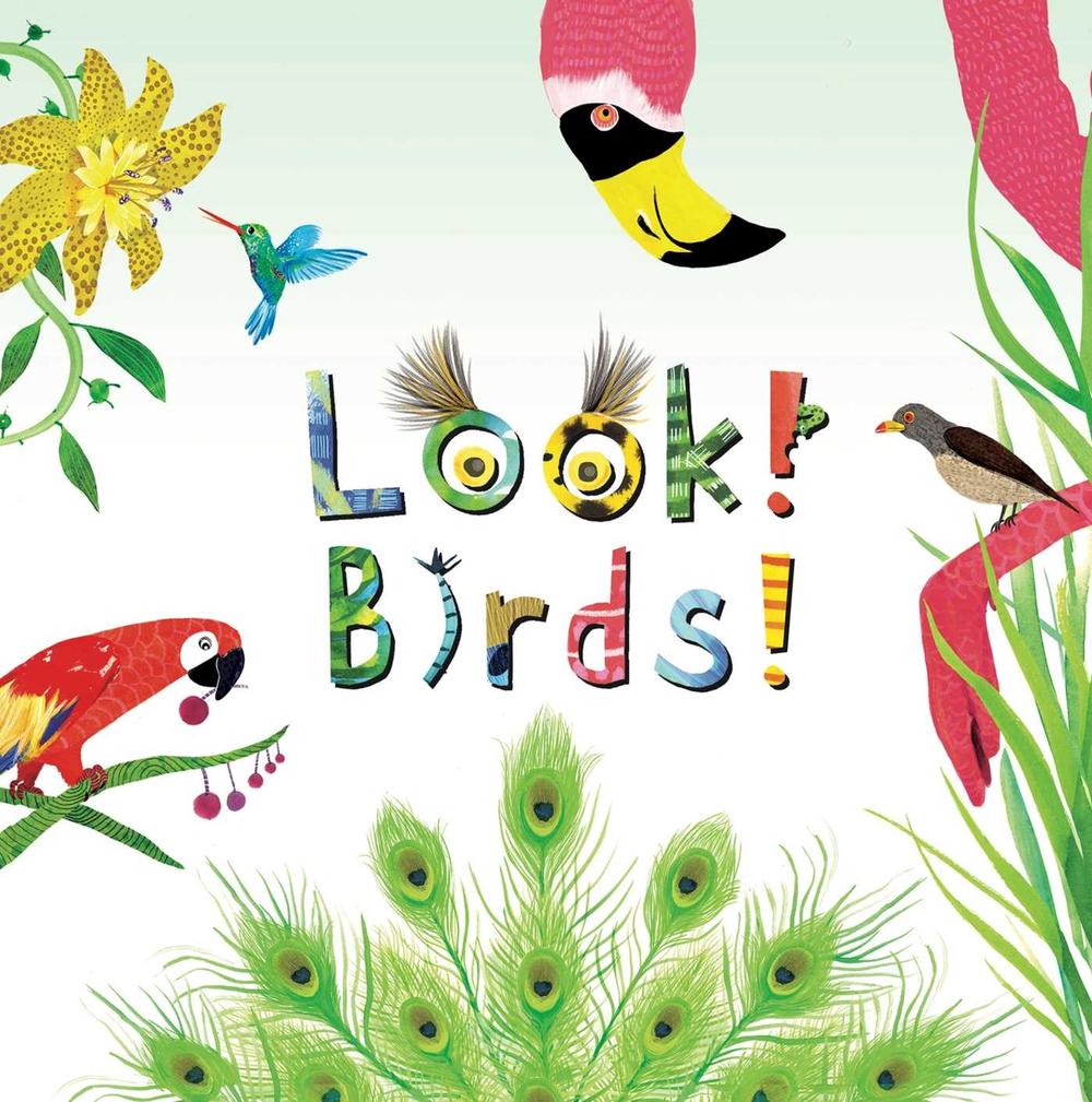 Look! Birds! by Stephanie Calmenson - ISBN: 9781499801149