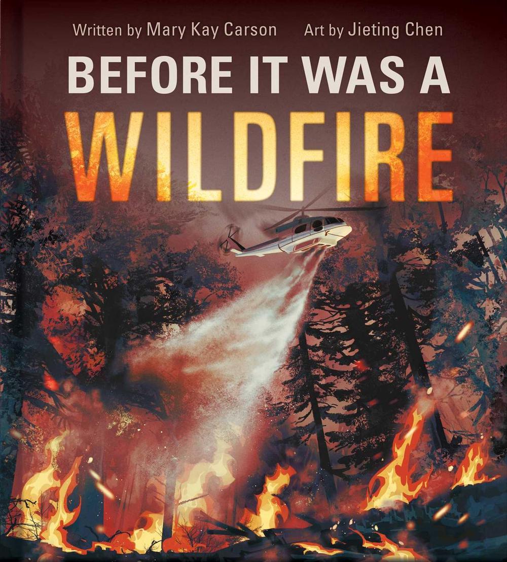 Before It Was a Wildfire (A Nonfiction Earth Science Picture Book with Double Gatefold for Kids) by Jieting Chen - ISBN: 9781499819007