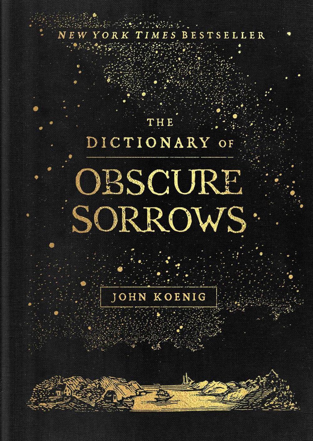 The Dictionary of Obscure Sorrows, 9781501153648