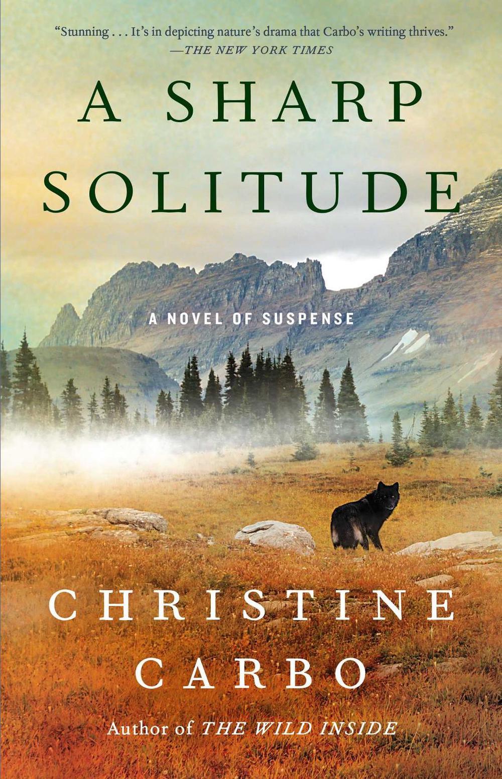 A Sharp Solitude by Christine Carbo - ISBN: 9781501156335