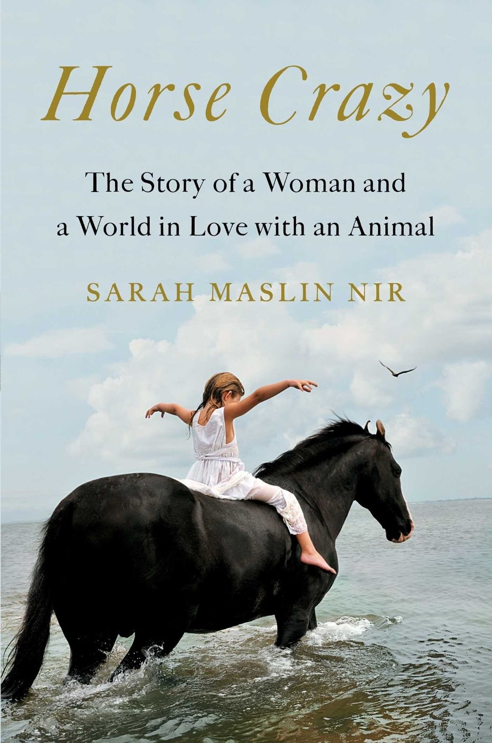 Horse Crazy by Sarah Maslin Nir - ISBN: 9781501196232