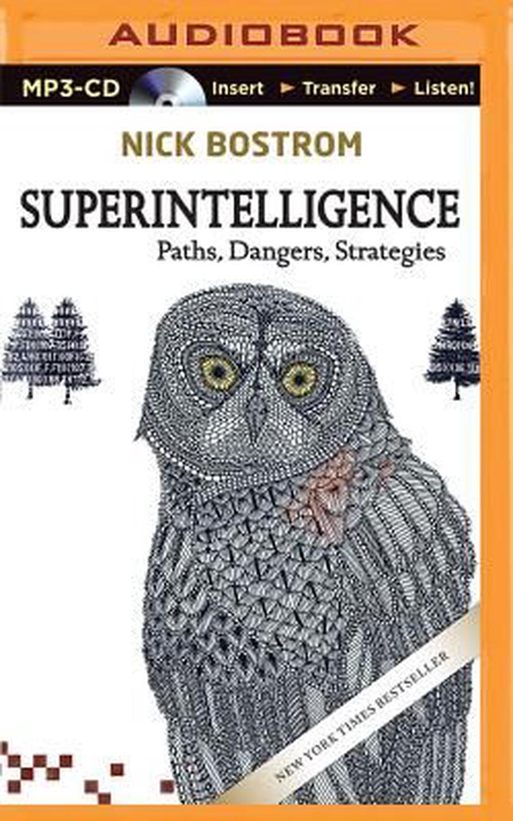 superintelligence paths