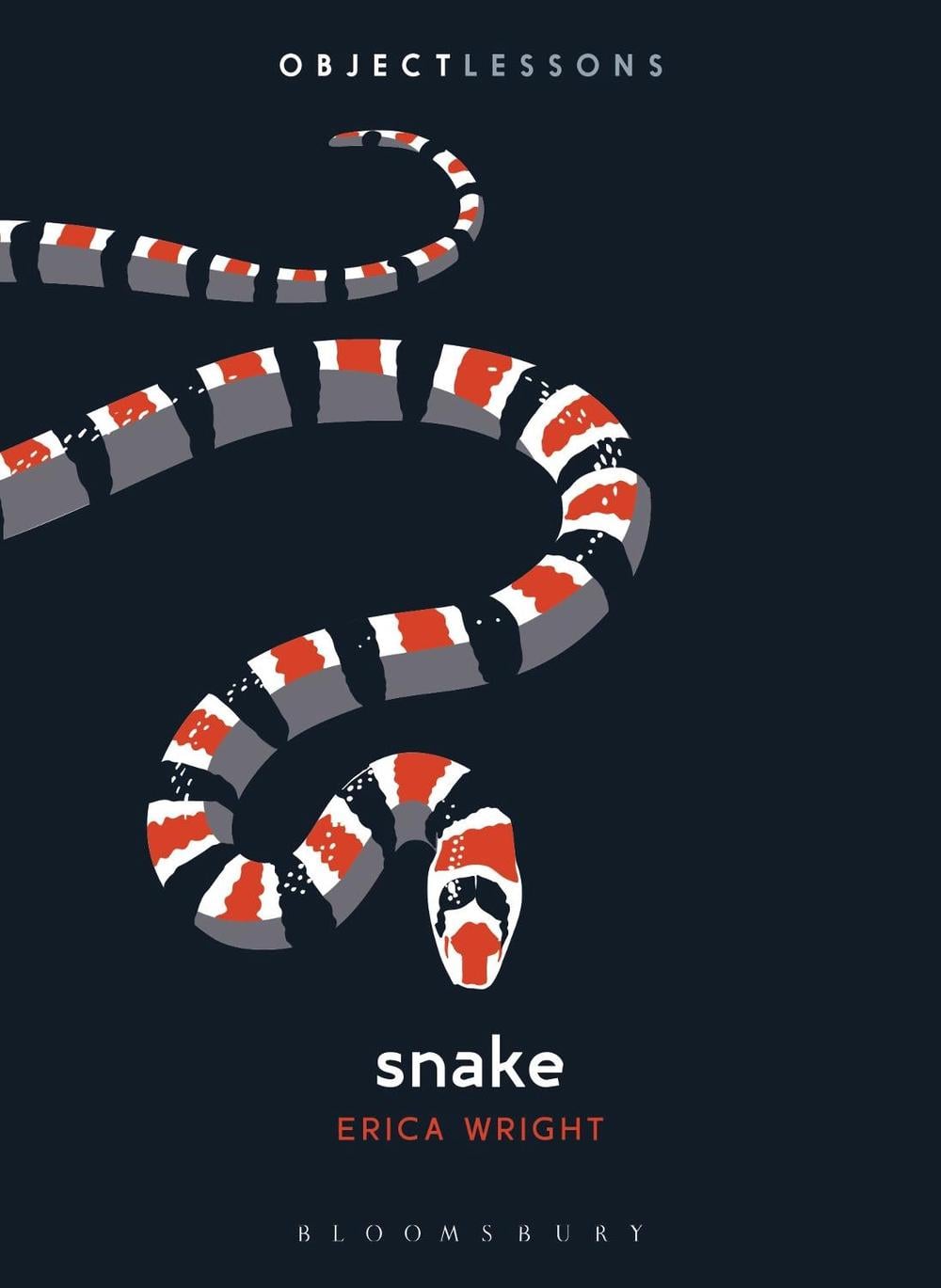 Snake by Erica Wright - ISBN: 9781501348716