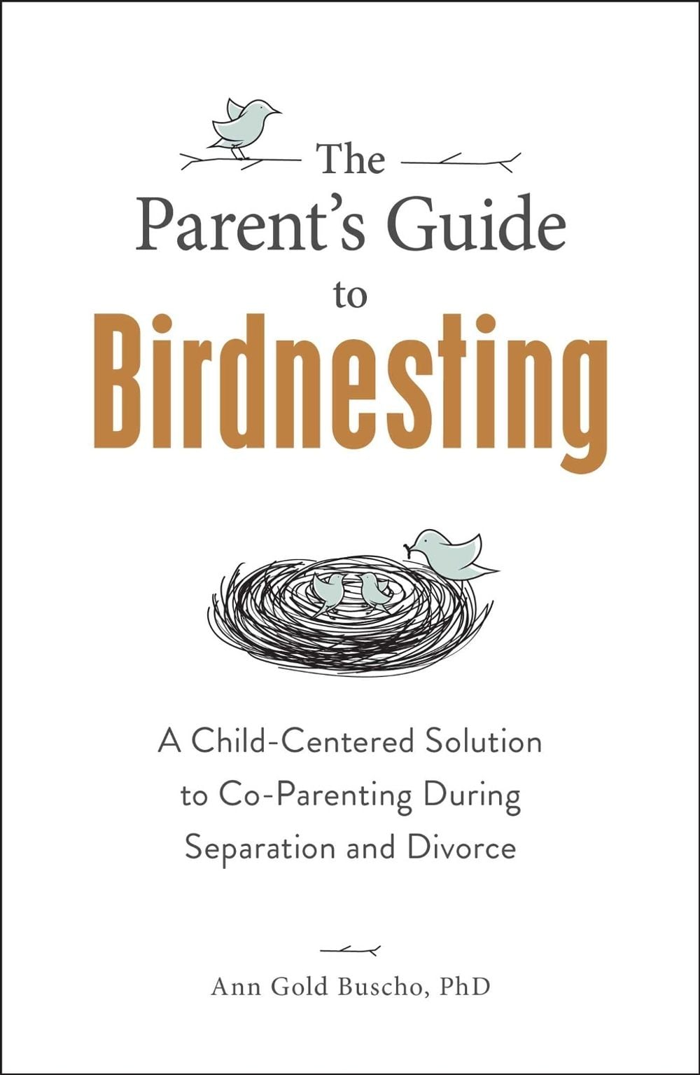The Parent's Guide to Birdnesting by Ann Gold Buscho - ISBN: 9781507214091