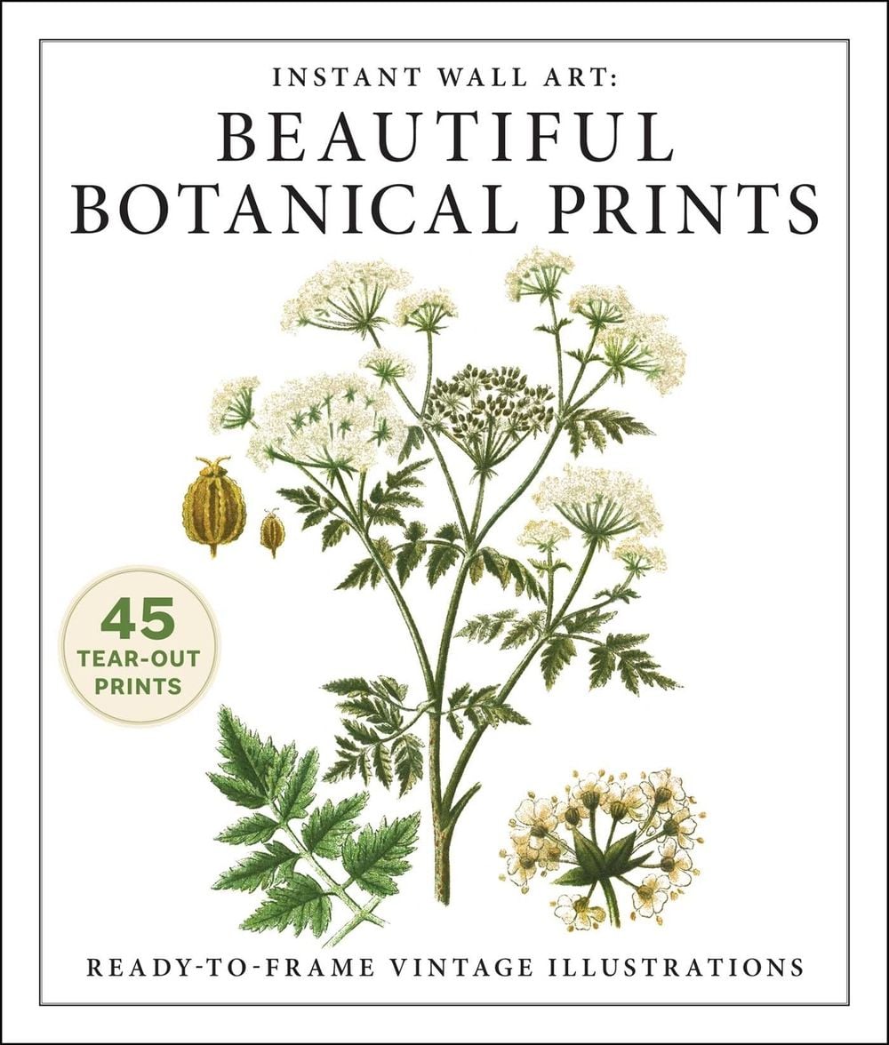 Instant Wall Art: Beautiful Botanical Prints by Adams Media - ISBN: 9781507224595