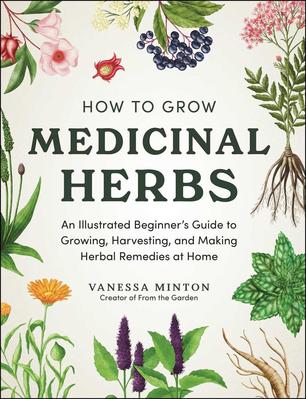 How to Grow Medicinal Herbs by Vanessa Minton - ISBN: 9781507225998