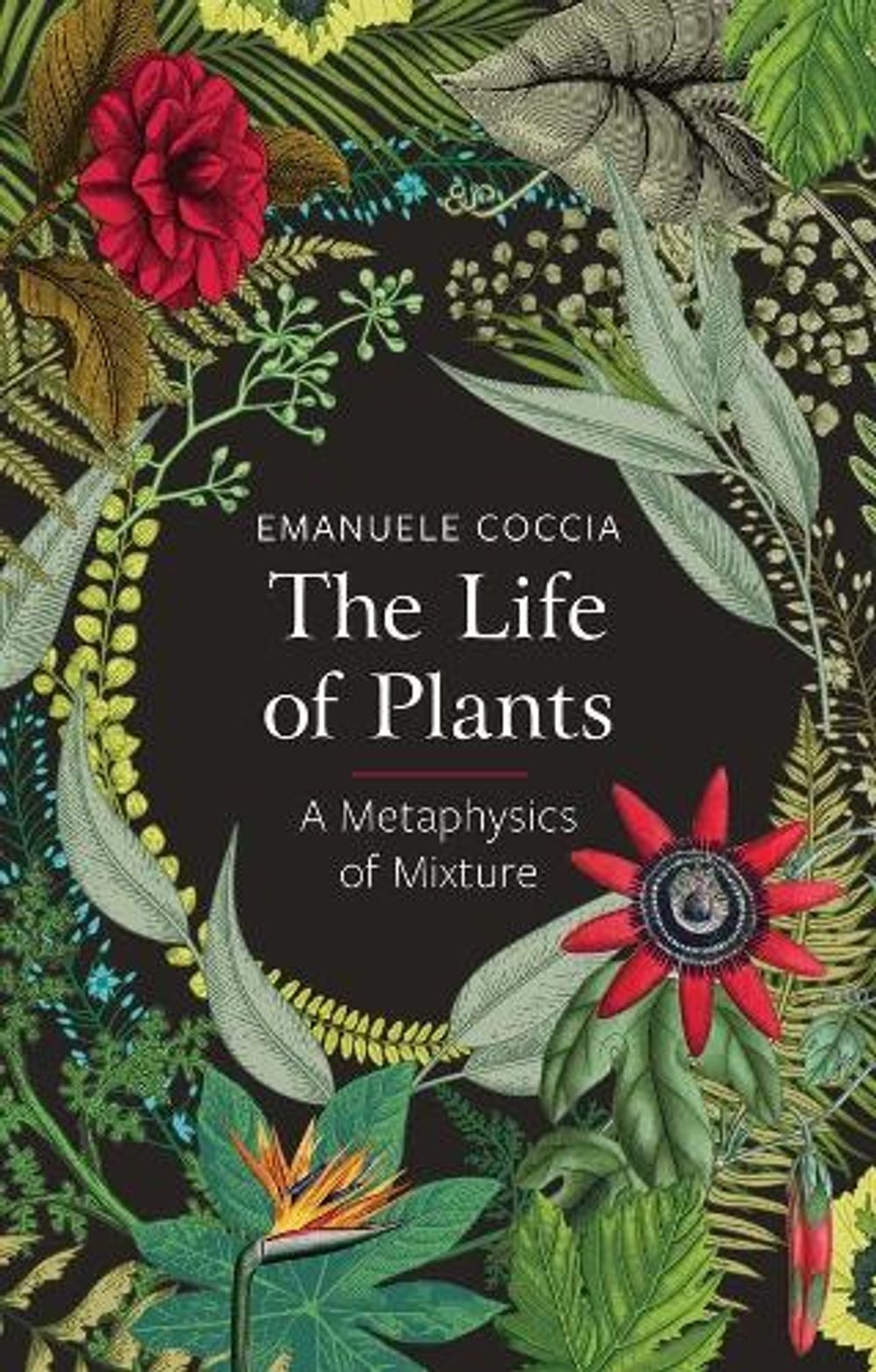 The Life of Plants by Emanuele Coccia - ISBN: 9781509531530