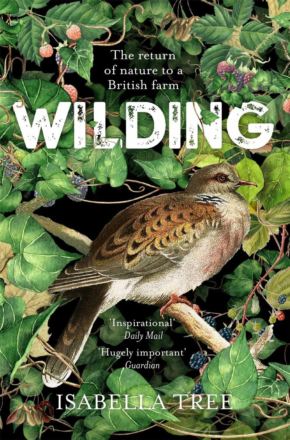 Wilding by Isabella Tree - ISBN: 9781509805105