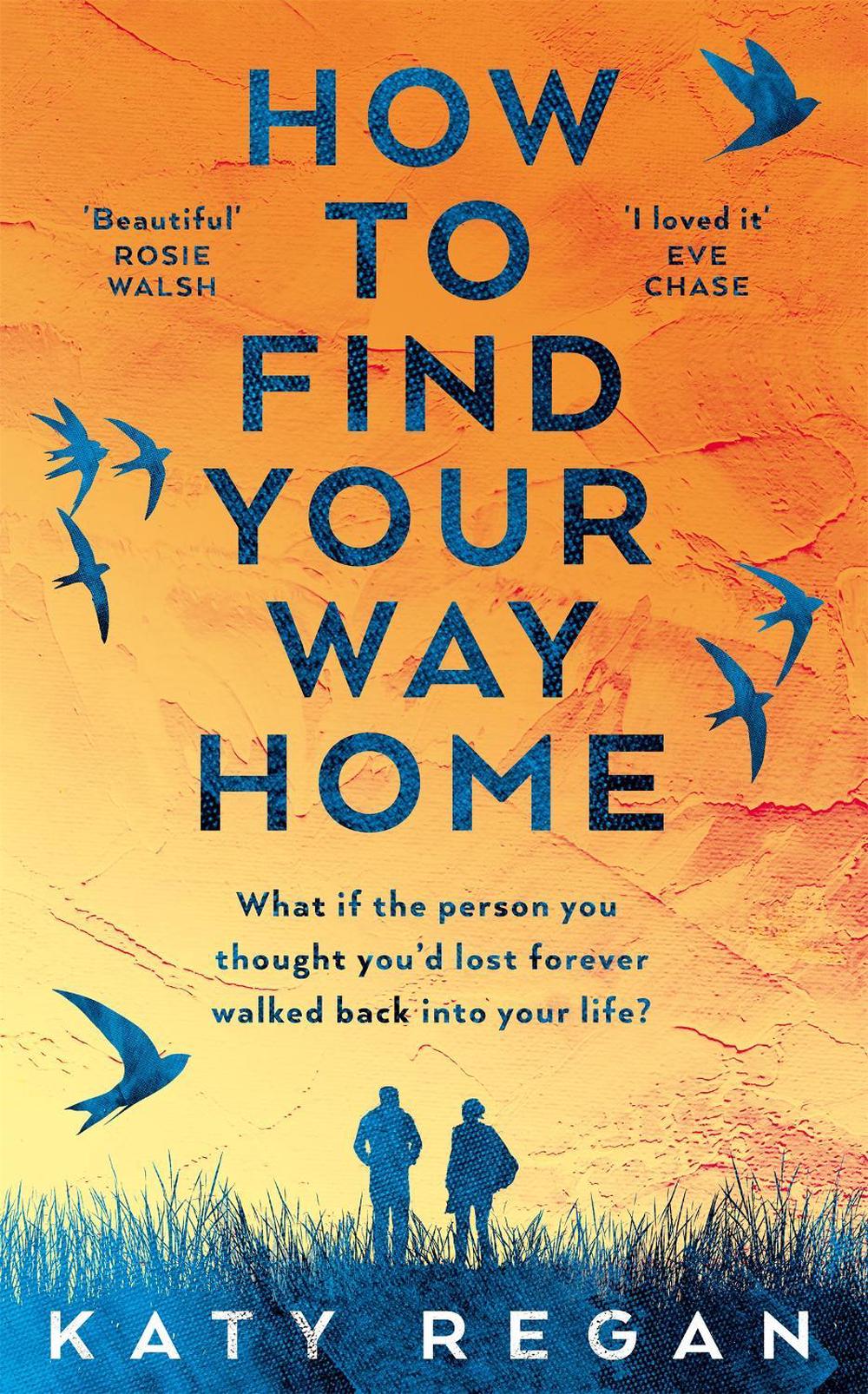 How To Find Your Way Home by Katy Regan - ISBN: 9781509837410