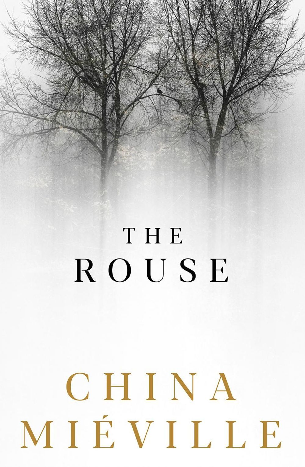 The Rouse by China Miéville - ISBN: 9781509847396