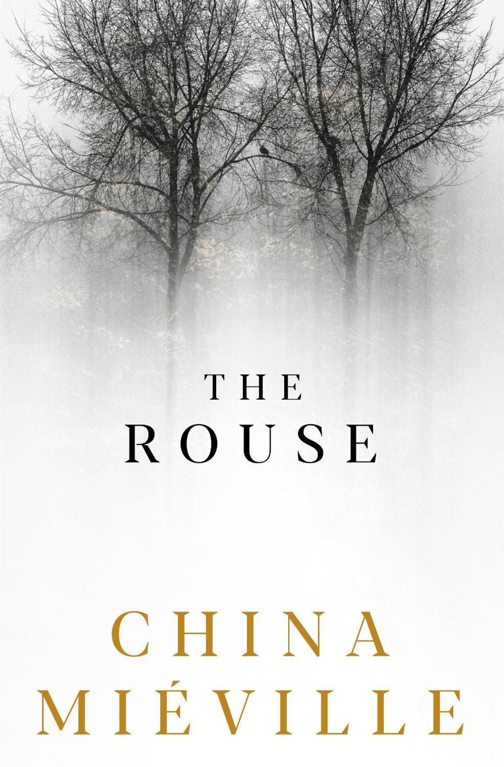 The Rouse by China Miéville - ISBN: 9781509847402