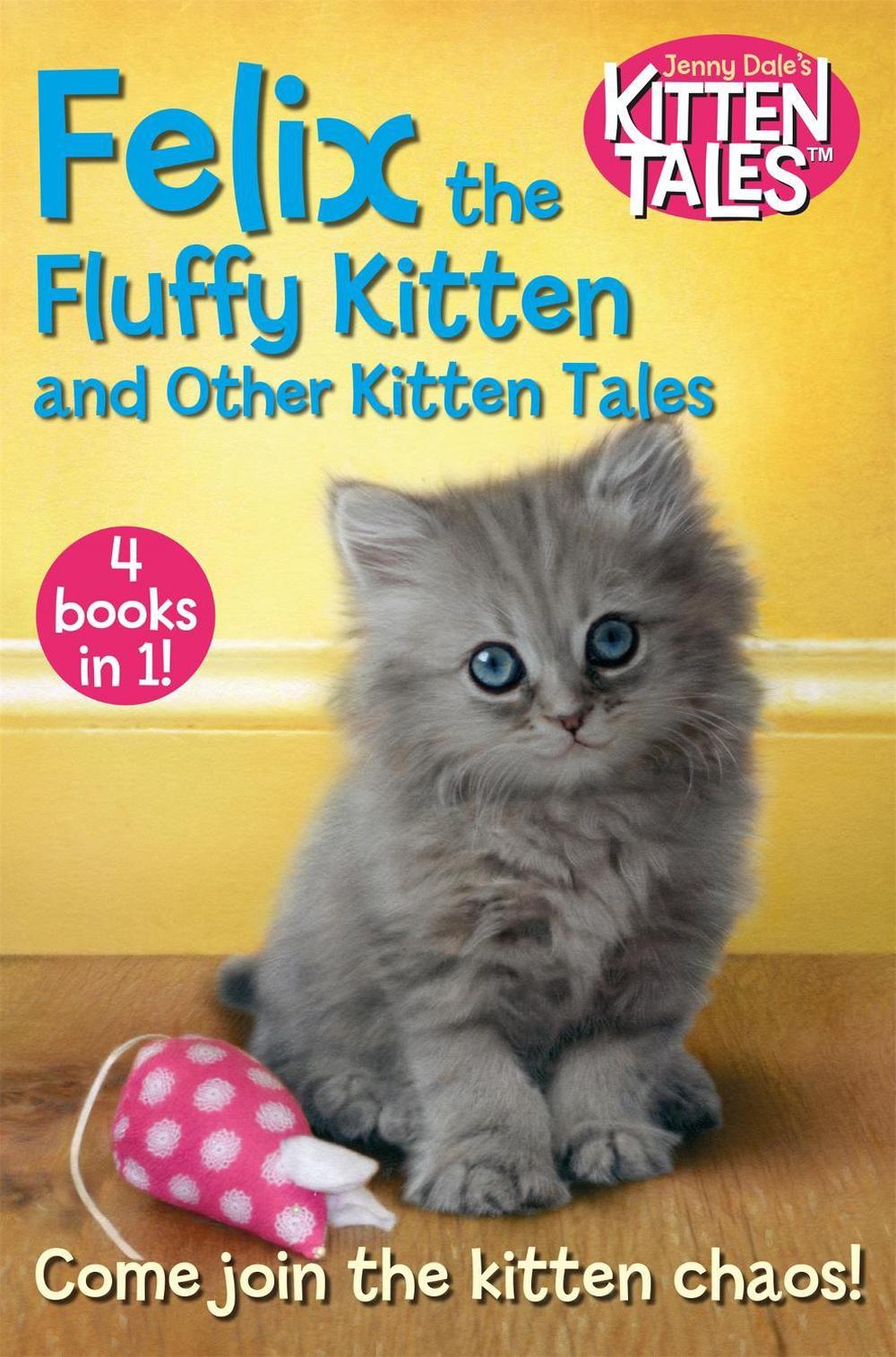 Felix the Fluffy Kitten and Other Kitten Tales by Jenny Dale - ISBN: 9781509871261