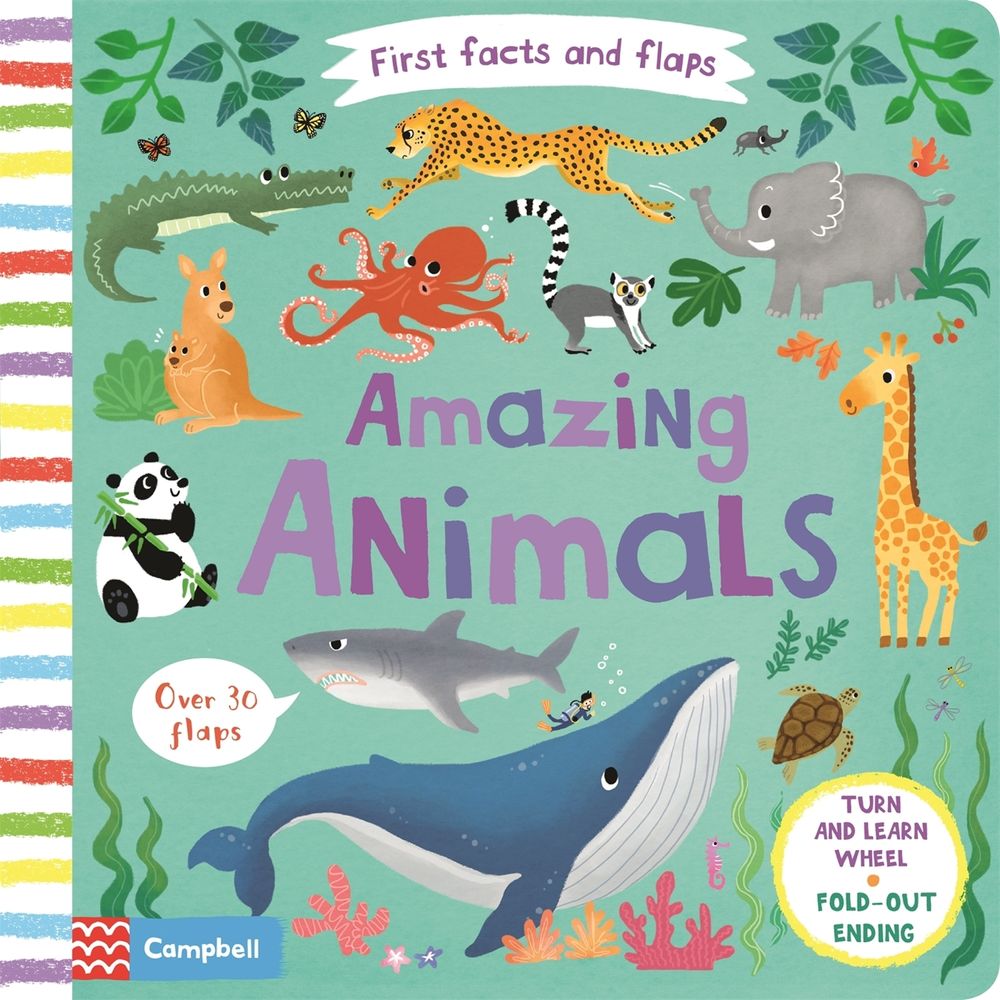 Amazing Animals by Campbell Books - ISBN: 9781509877034