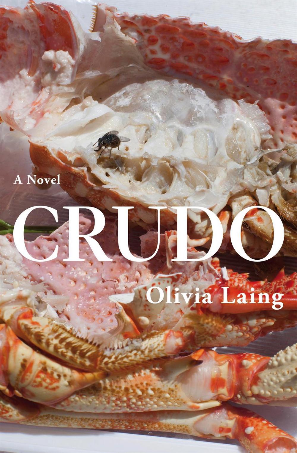 Crudo by Olivia Laing - ISBN: 9781509892839