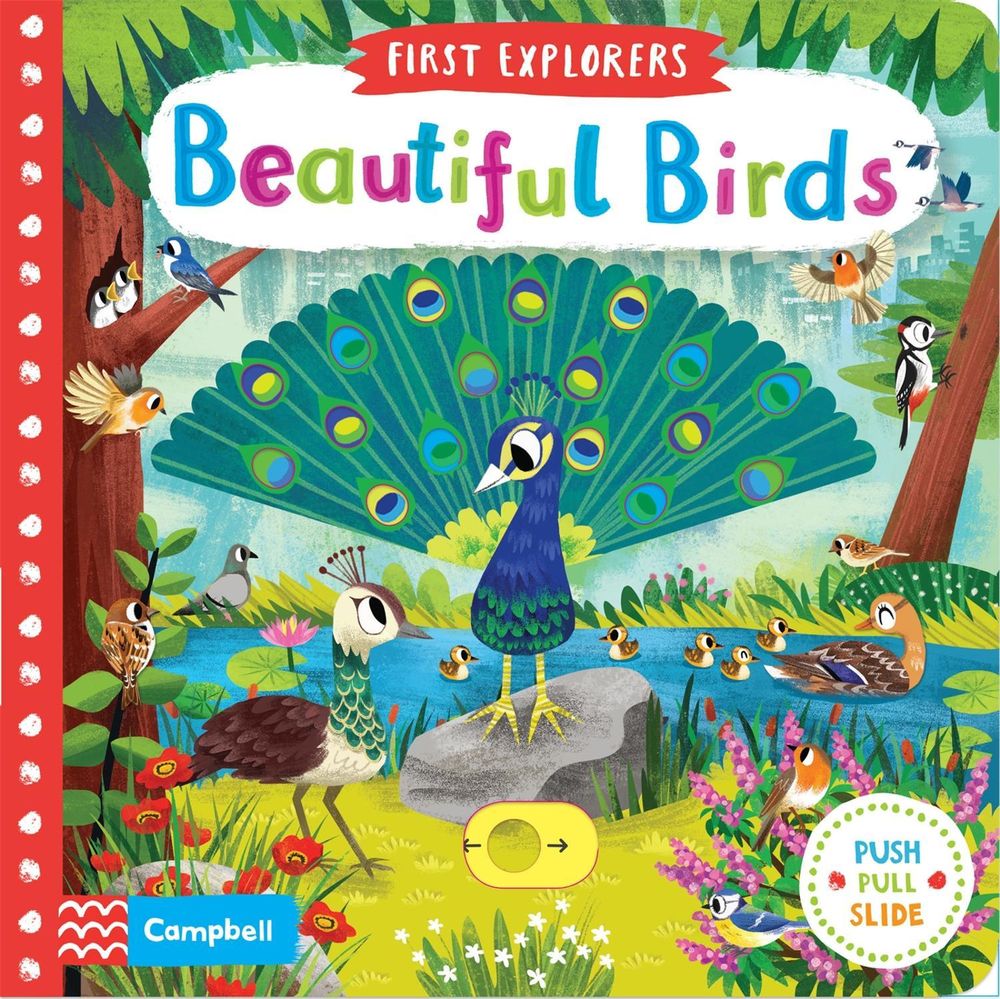 Beautiful Birds by Campbell Books - ISBN: 9781509898336
