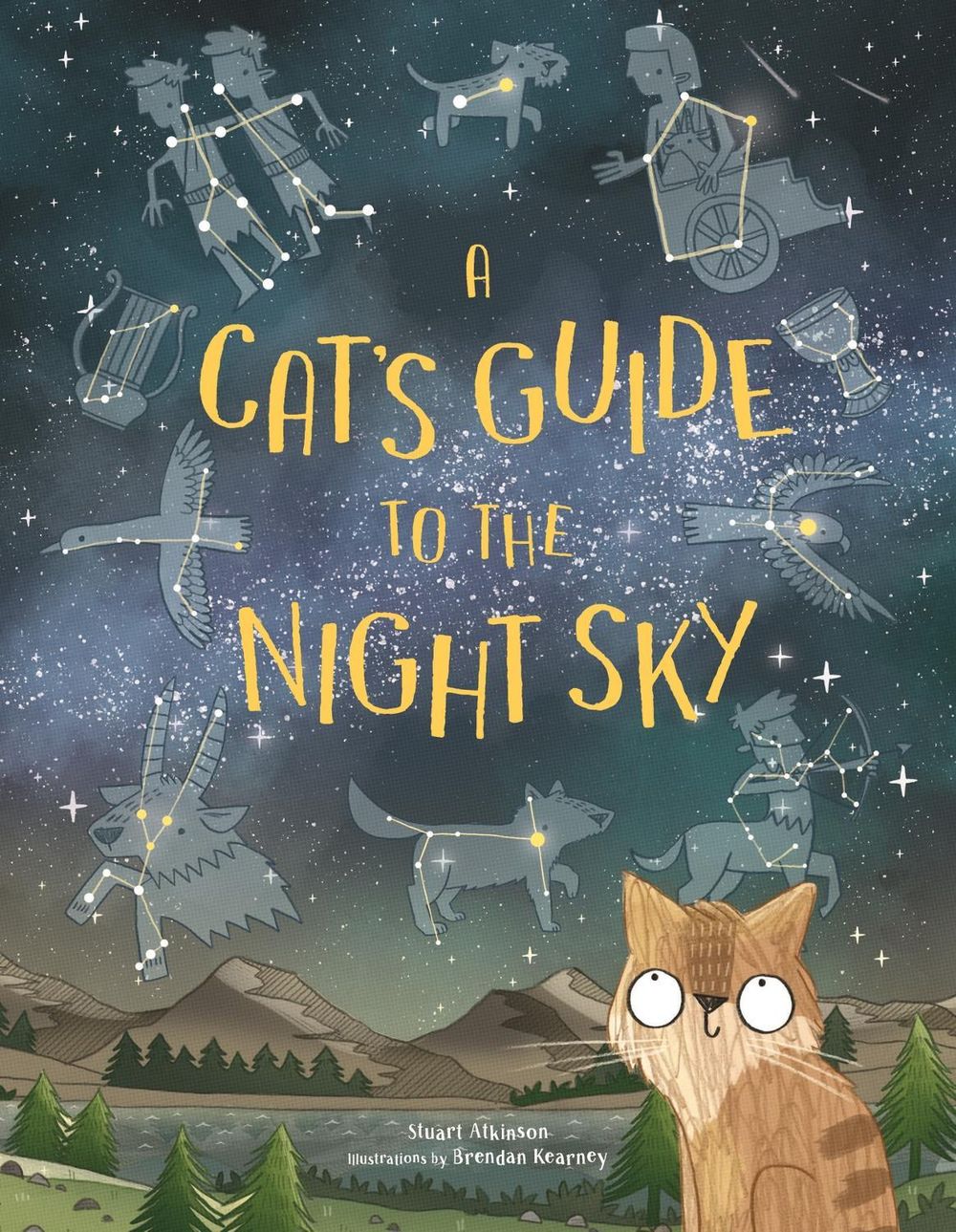 A Cat's Guide to the Night Sky by Stuart Atkinson - ISBN: 9781510230552