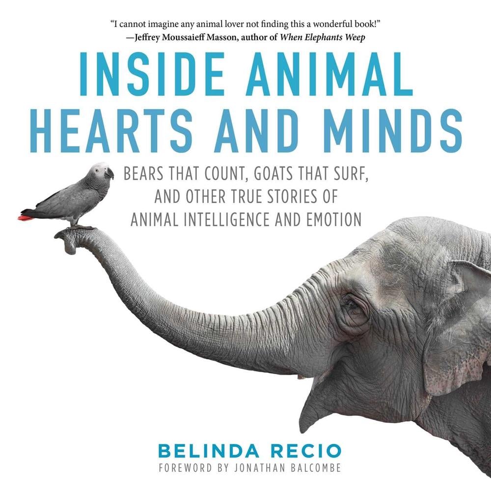 Inside Animal Hearts and Minds by Belinda Recio - ISBN: 9781510718944