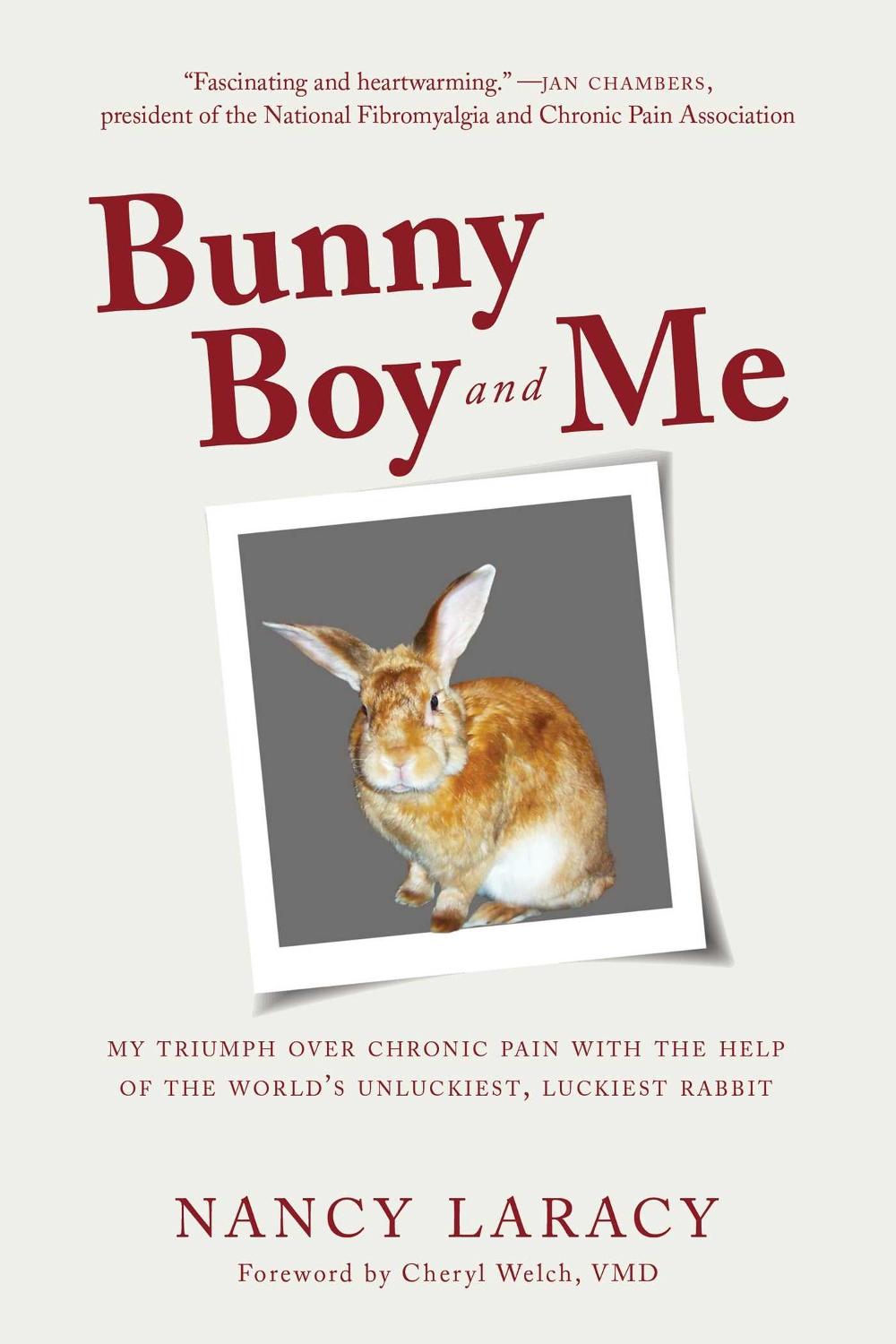 Bunny Boy and Me, 9781510736825