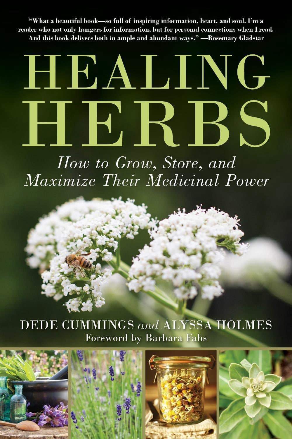 Healing Herbs by Dede Cummings - ISBN: 9781510778771