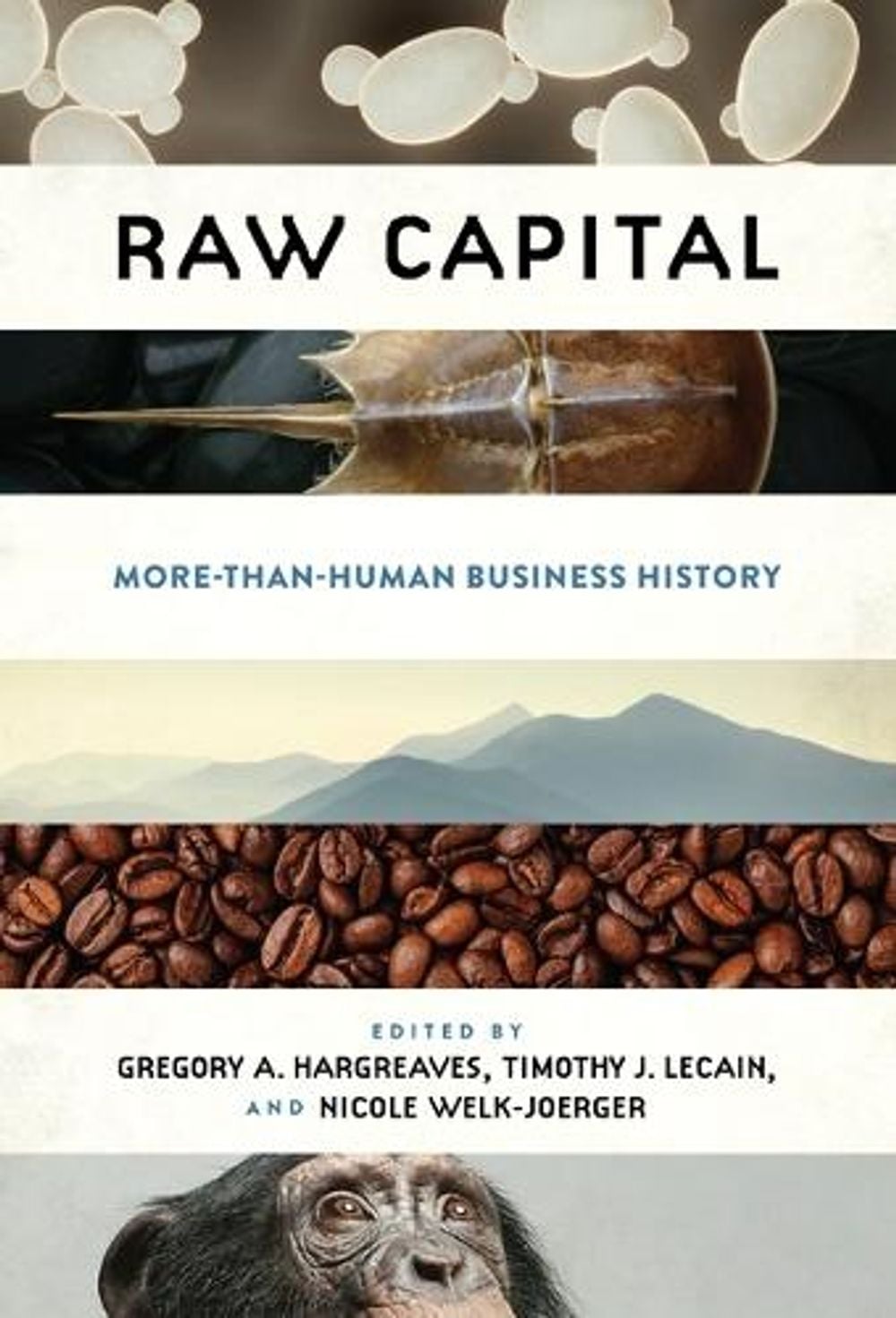 Raw Capital by Gregory A. Hargreaves - ISBN: 9781512830576