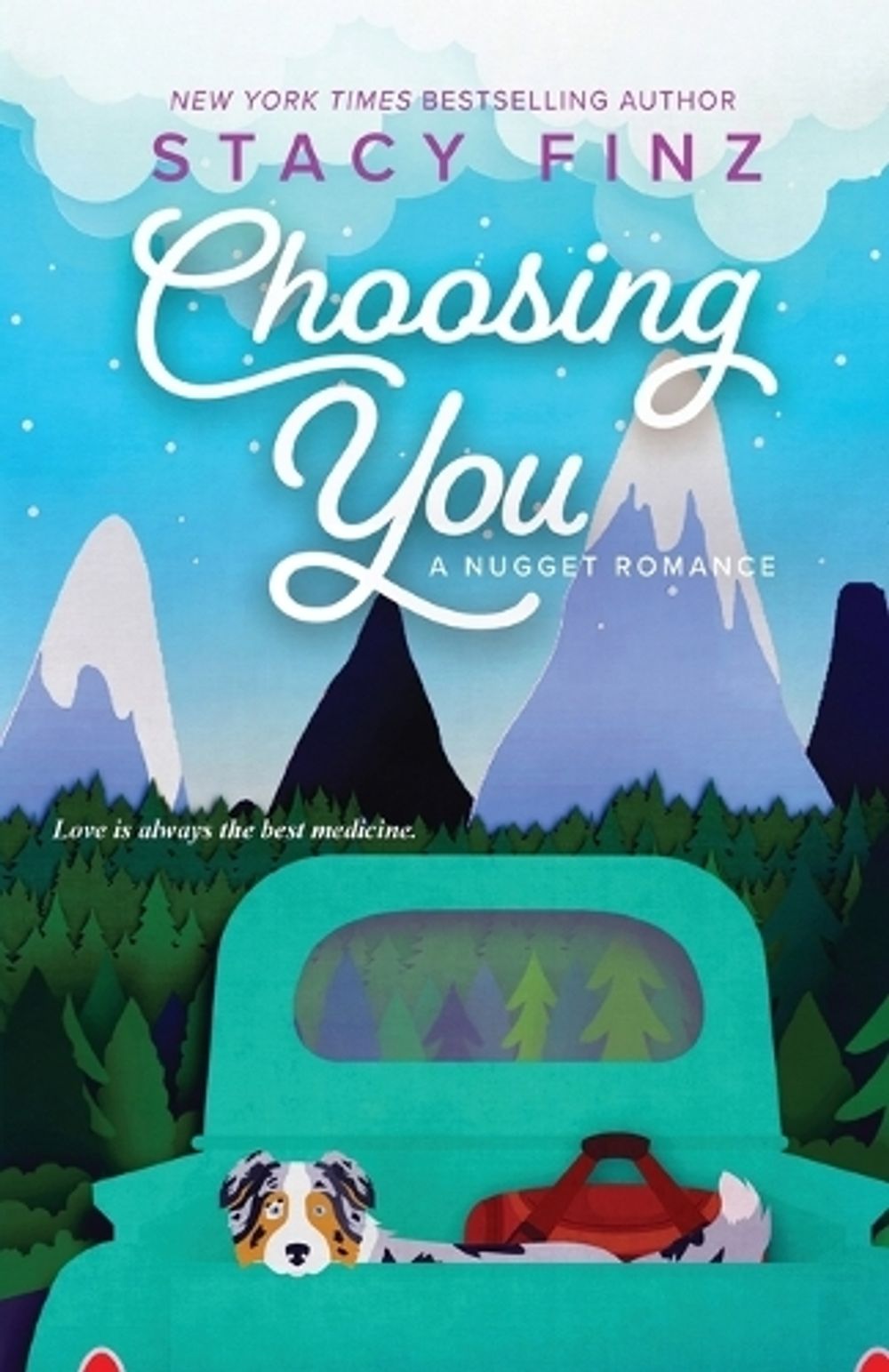 Choosing You by Stacy Finz - ISBN: 9781516103973