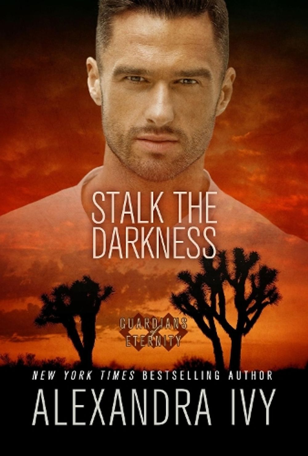 Stalk the Darkness by Alexandra Ivy - ISBN: 9781516111350