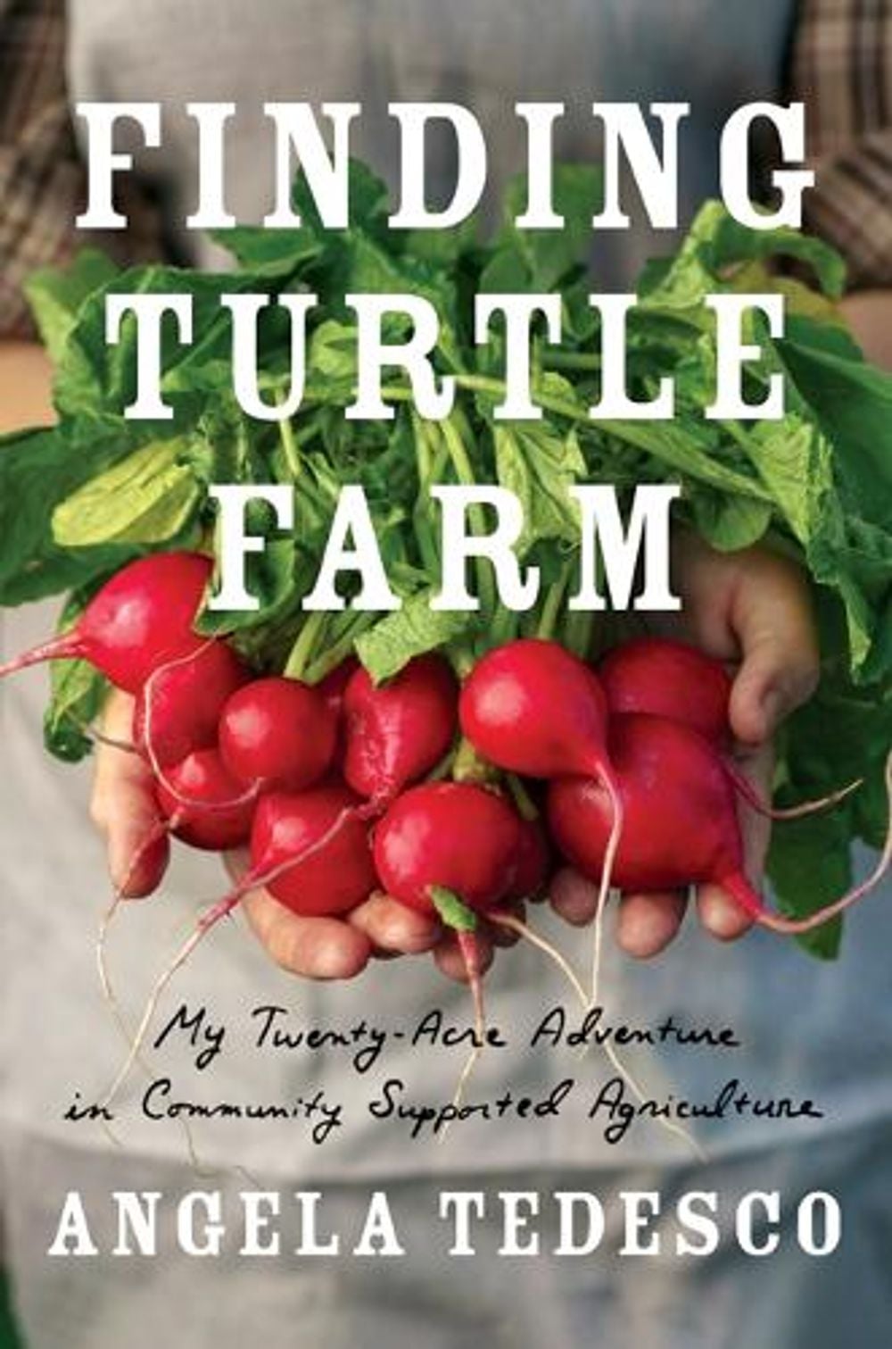 Finding Turtle Farm by Angela Tedesco - ISBN: 9781517911614