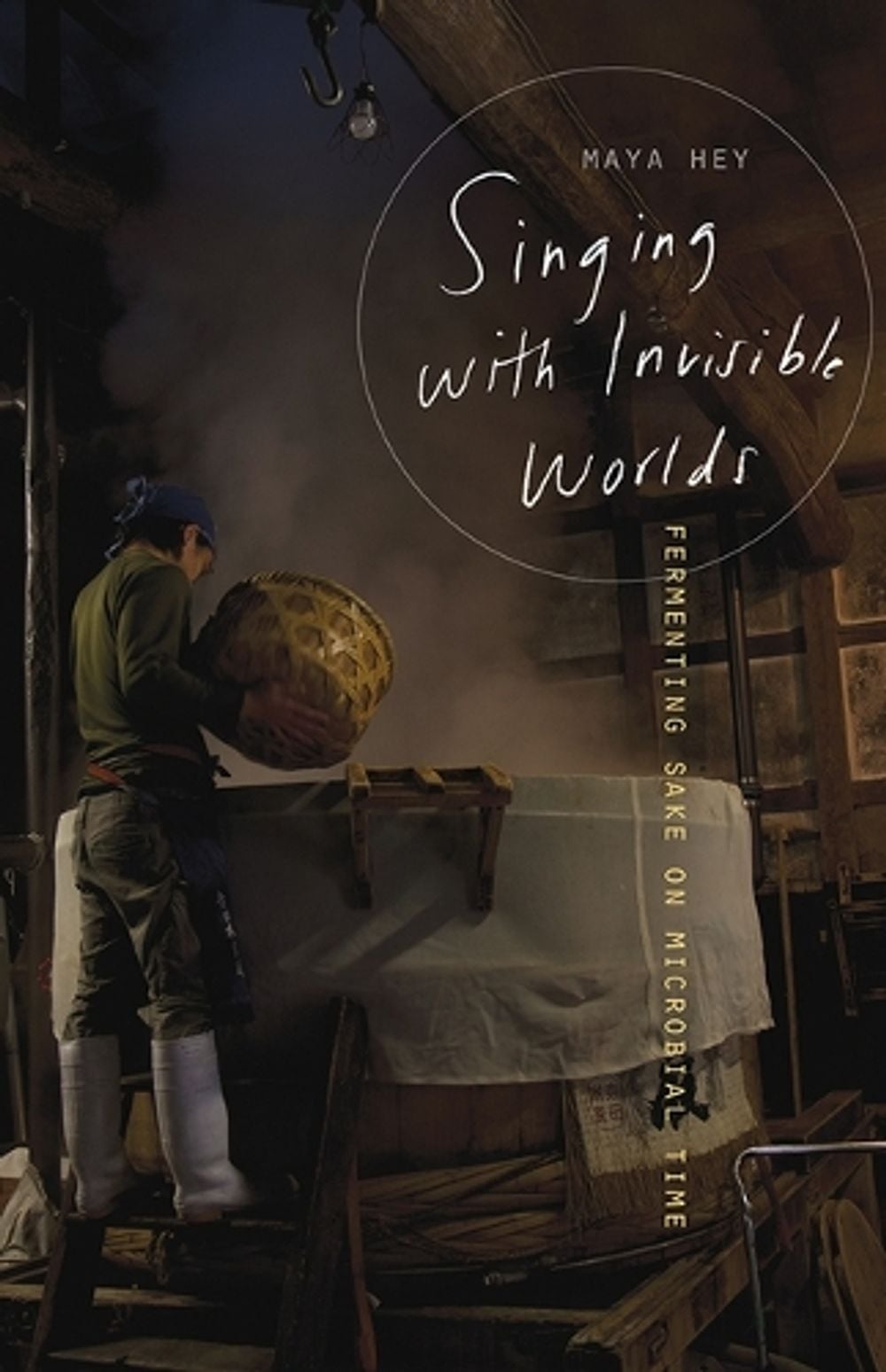 Singing with Invisible Worlds by Maya Hey - ISBN: 9781517921200