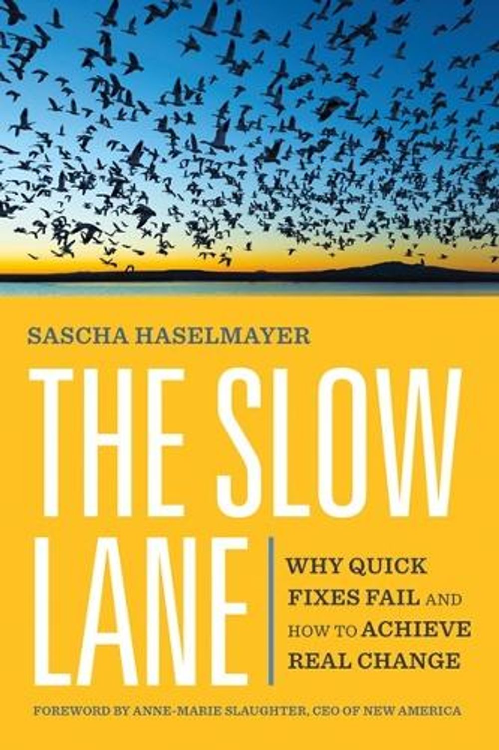 The Slow Lane by Sascha Haselmayer - ISBN: 9781523004584