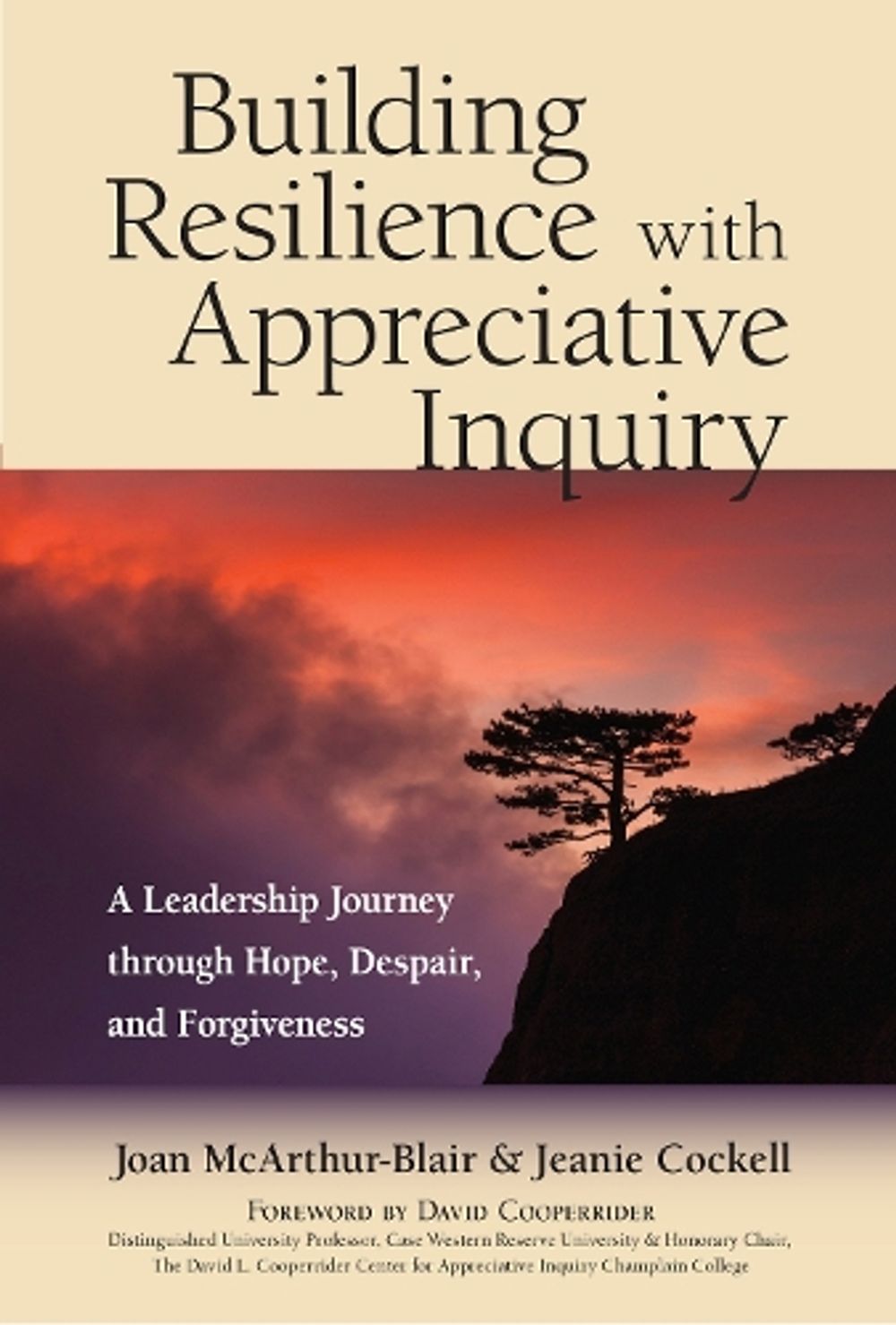 Building Resilience with Appreciative Inquiry by Jeanie Cockell - ISBN: 9781523082551