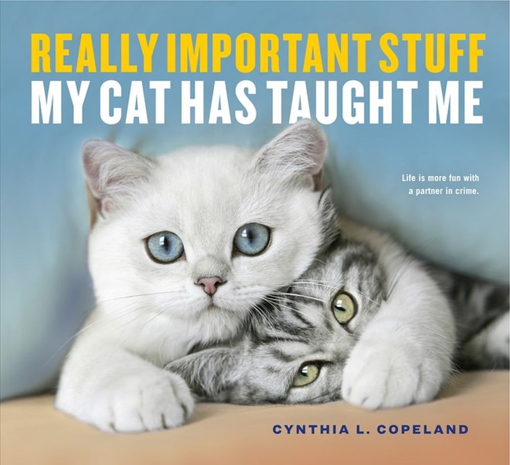 Really Important Stuff My Cat Has Taught Me by Cynthia L. Copeland - ISBN: 9781523501489