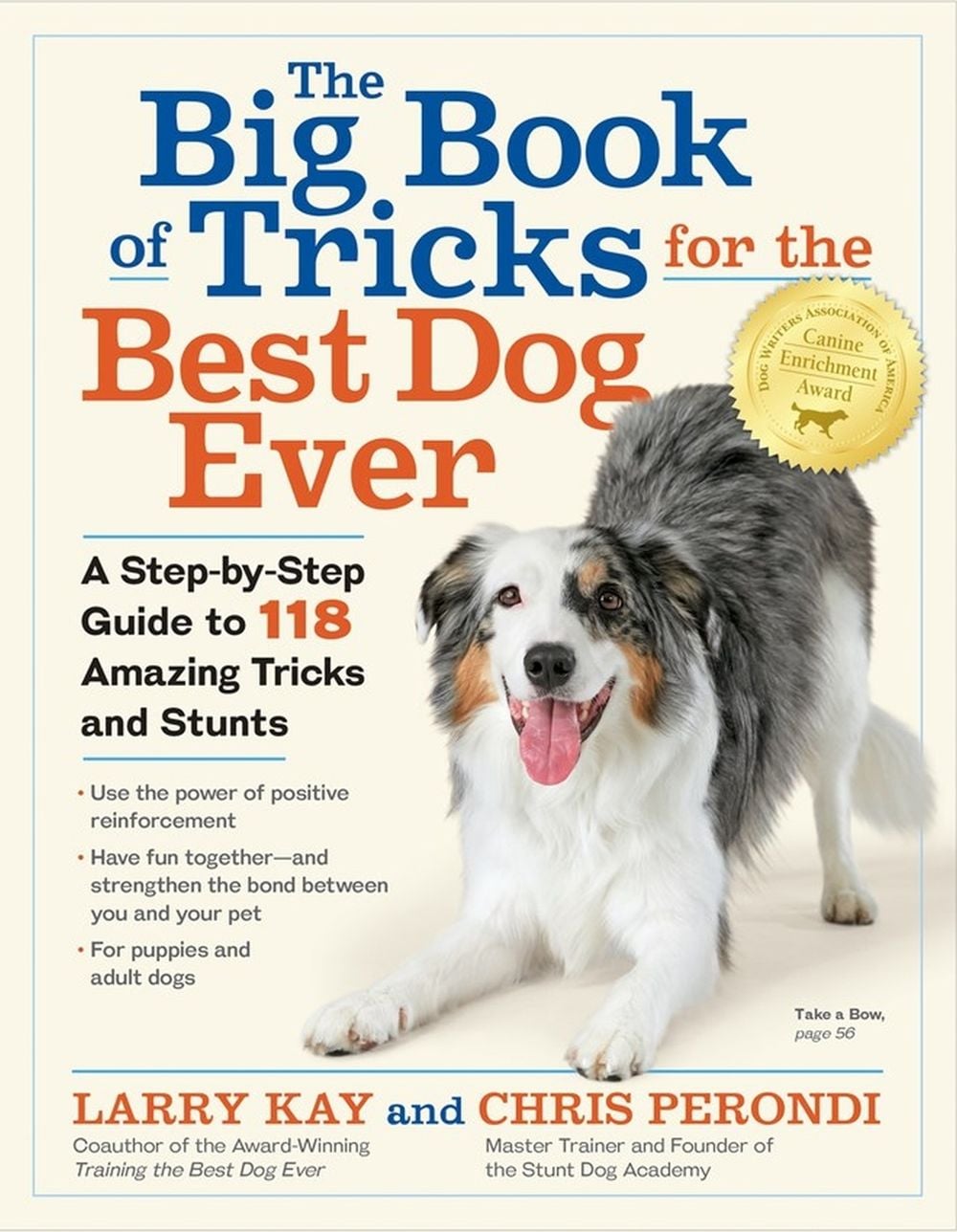 The Big Book of Tricks for the Best Dog Ever by Chris Perondi - ISBN: 9781523501618