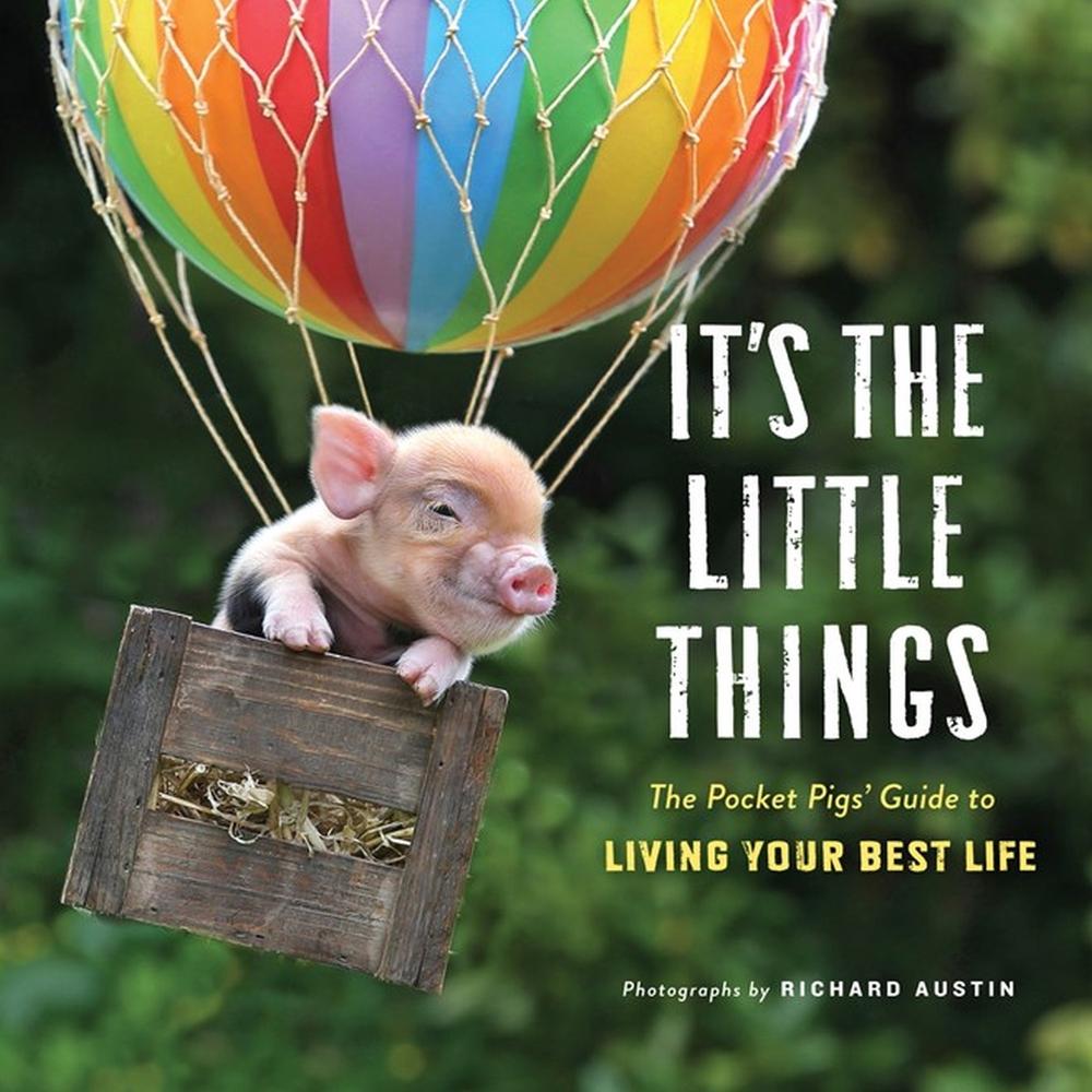 It's the Little Things by Richard Austin - ISBN: 9781523508297
