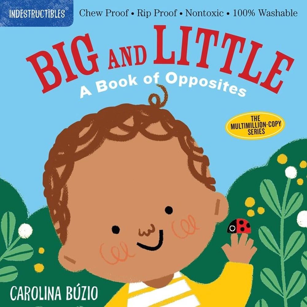 Indestructibles: Big and Little: A Book of Opposites by Amy Pixton - ISBN: 9781523511143