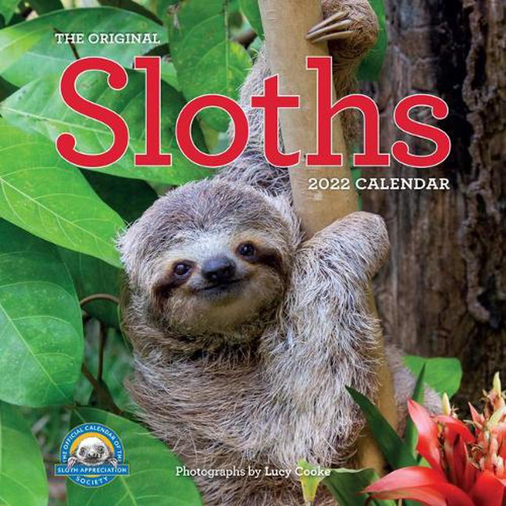 2022 the Original Sloths Calendar Buy online at The Nile