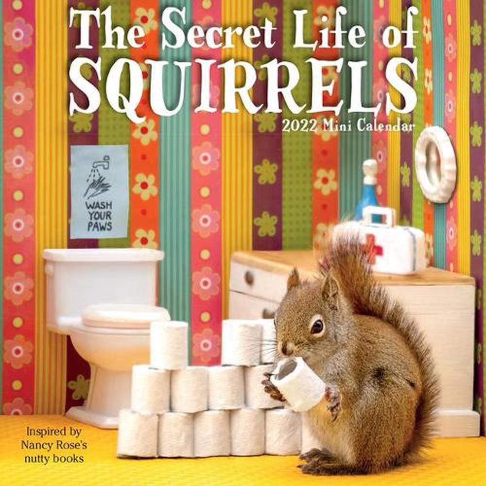 2022 The Secret Life Of Squirrels Mini Calendar By Nancy Rose 
