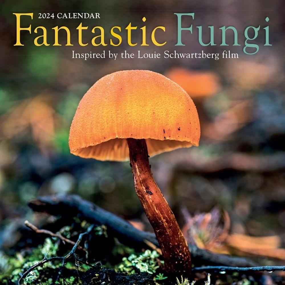 Louie Schwartzberg, Workman Calendars Fantastic Fungi Wall Calendar