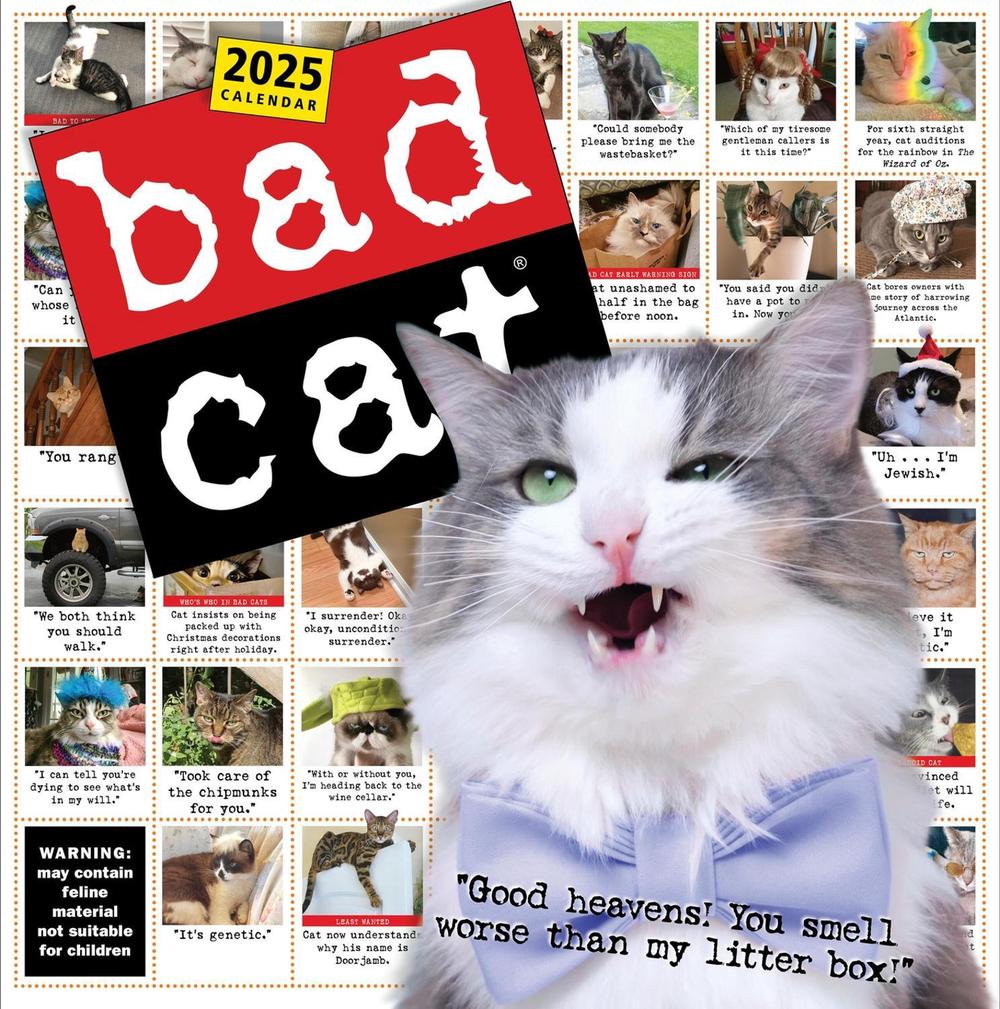 Bad Cat Wall Calendar 2025, 9781523526321