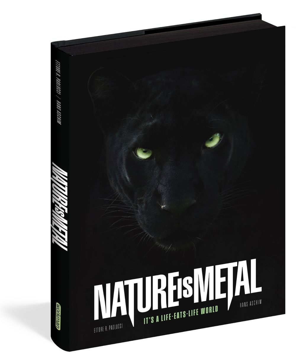 Nature Is Metal by Ettore R. Paolucci - ISBN: 9781523528028