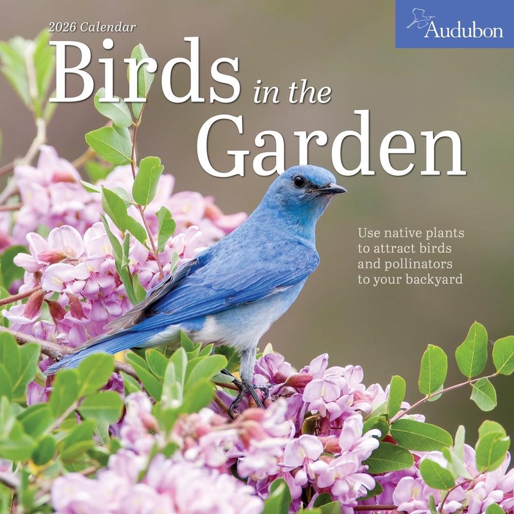 Audubon Birds in the Garden Wall Calendar 2026, 9781523530878