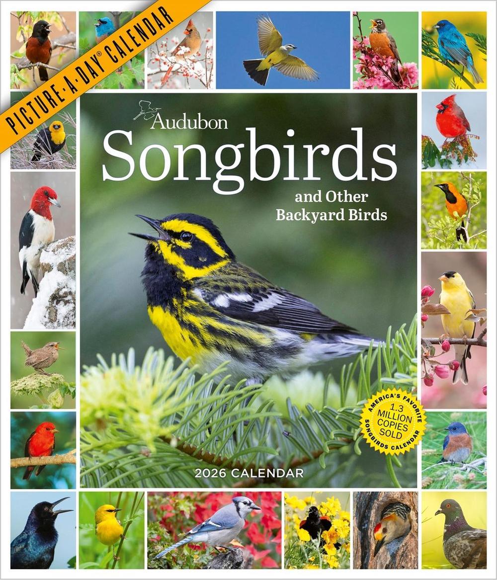 Audubon Songbirds And Other Backyard Birds Picture-A-Day® Wall Calendar 2026, 9781523531028