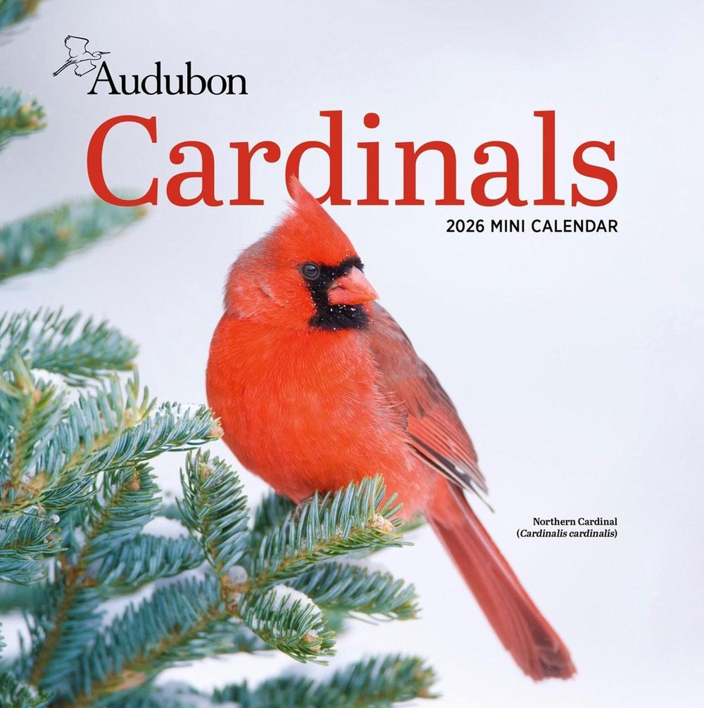 Audubon Cardinals Mini Wall Calendar 2026, 9781523531059