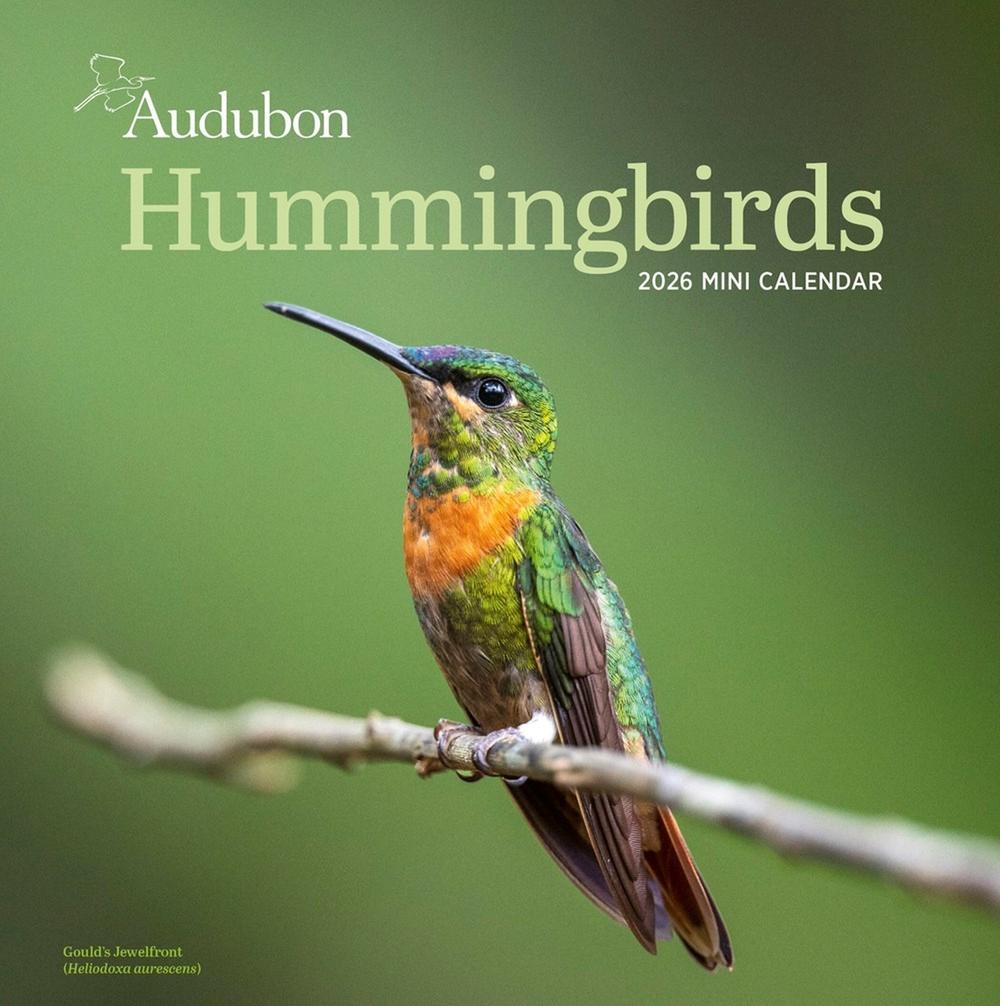 Audubon Hummingbirds Mini Wall Calendar 2026, 9781523531066