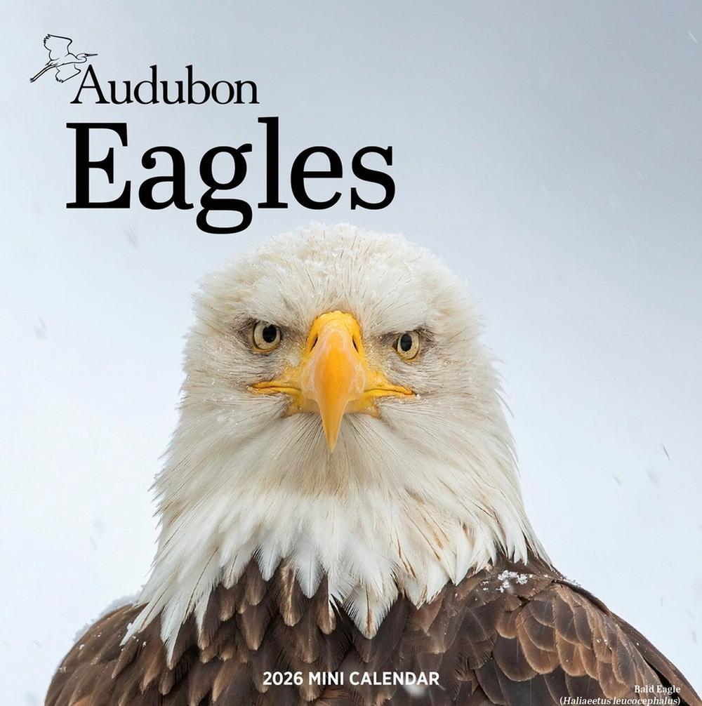 Audubon Eagles Mini Wall Calendar 2026, 9781523531080
