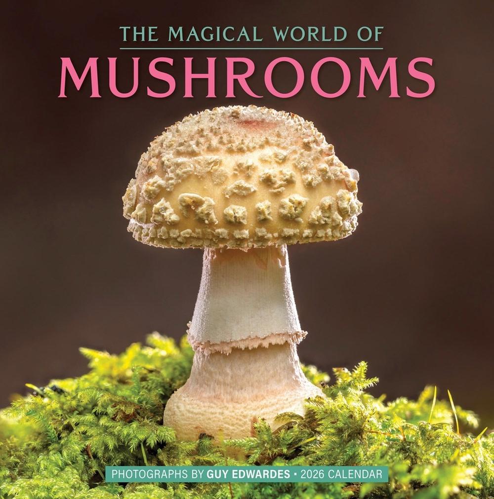 The Magical World of Mushrooms Wall Calendar 2026 by Guy Edwardes - ISBN: 9781523531134