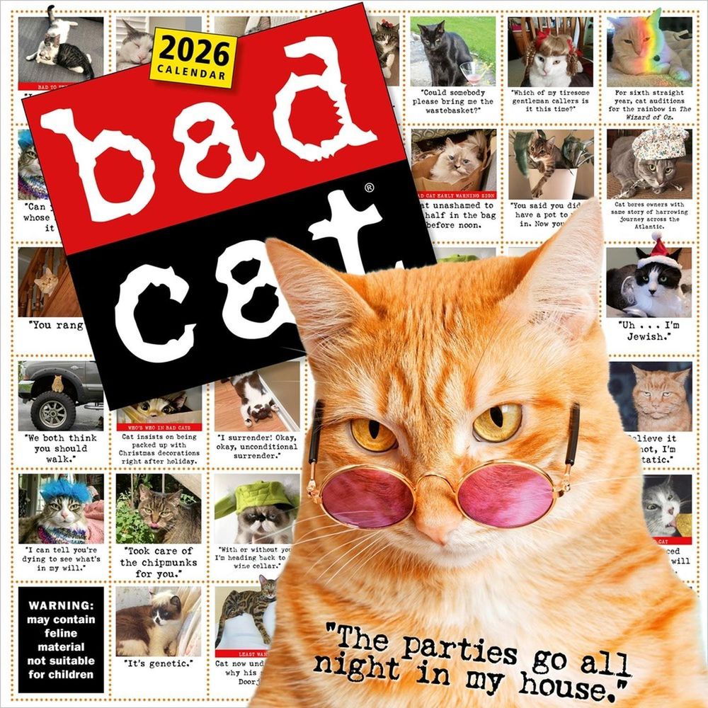 Bad Cat Wall Calendar 2026 by Workman Calendars - ISBN: 9781523531219