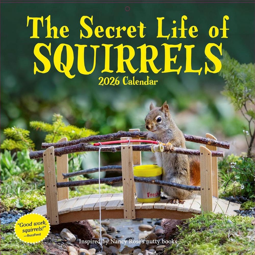 Secret Life of Squirrels Wall Calendar 2026, 9781523531257